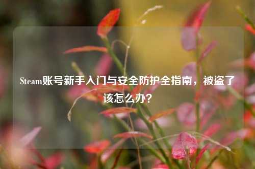 Steam账号新手入门与安全防护全指南,被盗了该怎么办?