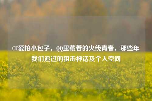 CF爱拍小包子, *** 里藏着的火线青春,那些年我们追过的狙击神话及个人空间