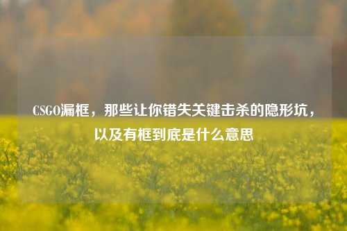 CSGO漏框，那些让你错失关键击杀的隐形坑，以及有框到底是什么意思