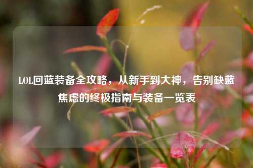 LOL回蓝装备全攻略,从新手到大神,告别缺蓝焦虑的终极指南与装备一览表