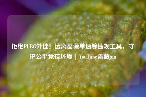 拒绝PUBG外挂！远离蔷薇单透等违规工具，守护公平竞技环境 | YouTube蔷薇jun