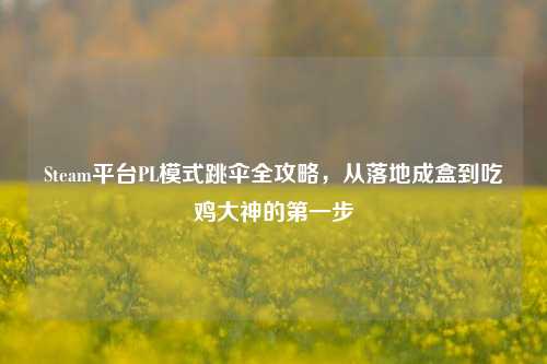 Steam平台PL模式跳伞全攻略，从落地成盒到吃鸡大神的之一步