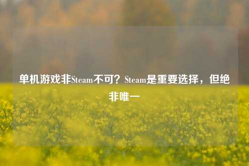 单机游戏非Steam不可?Steam是重要选择,但绝非唯一