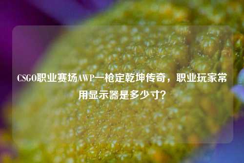 详细阅读:CSGO职业赛场AWP一枪定乾坤传奇,职业玩家常用显示器是多少寸? CSGO职业赛场AWP一枪定乾坤传奇,职业玩家常用显示器是多少寸?