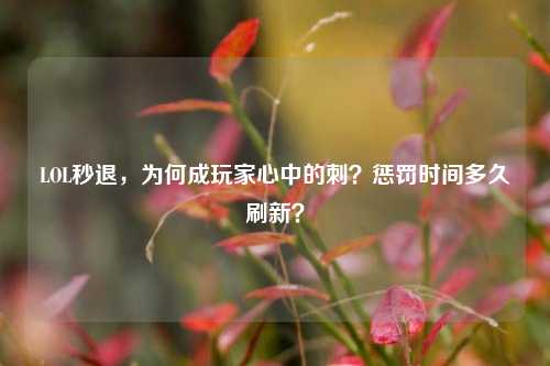 LOL秒退,为何成玩家心中的刺?惩罚时间多久刷新?