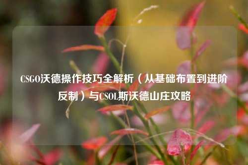 CSGO沃德操作技巧全解析(从基础布置到进阶反制)与CSOL斯沃德山庄攻略