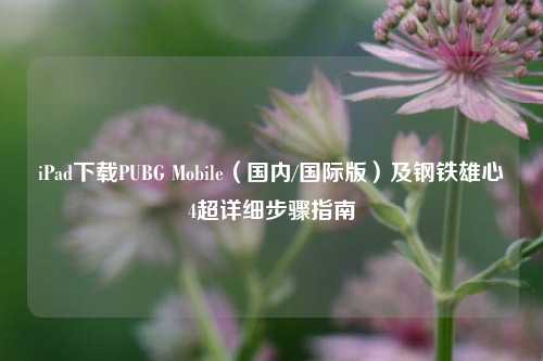 iPad下载PUBG Mobile(国内/国际版)及钢铁雄心4超详细步骤指南