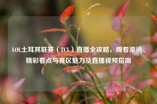 LOL土耳其联赛(TCL)直播全攻略,观看渠道、精彩看点与赛区魅力及直播视频指南