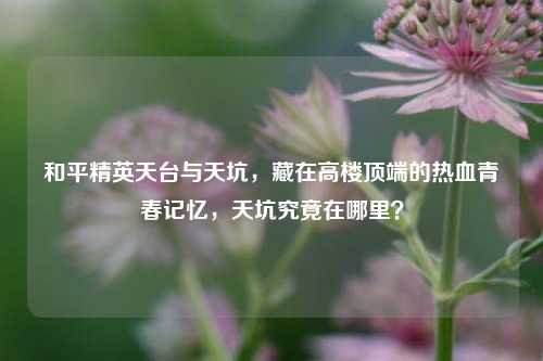 和平精英天台与天坑,藏在高楼顶端的热血青春记忆,天坑究竟在哪里?