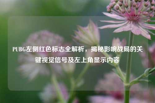 PUBG左侧红色标志全解析,揭秘影响战局的关键视觉信号及左上角显示内容
