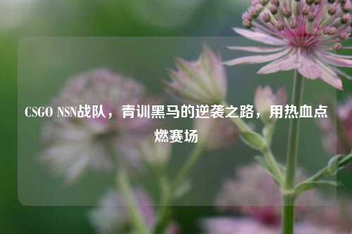CSGO NSN战队,青训黑马的逆袭之路,用热血点燃赛场