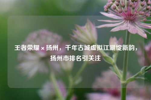 王者荣耀×扬州，千年古城虚拟江湖绽新韵，扬州市排名引关注