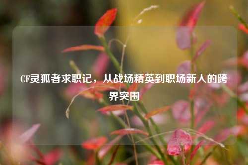 CF灵狐者求职记,从战场精英到职场新人的跨界突围