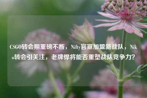 CSGO转会期重磅不断,Nifty官宣加盟新战队,Niko转会引关注,老牌悍将能否重塑战队竞争力?