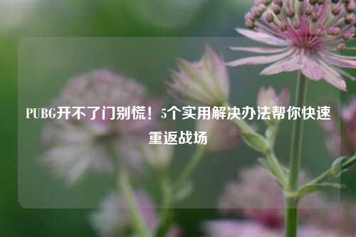 PUBG开不了门别慌!5个实用解决办法帮你快速重返战场