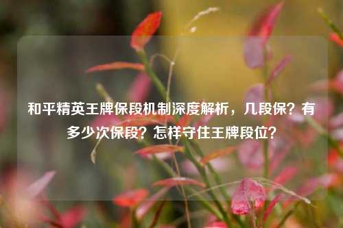 和平精英王牌保段机制深度解析，几段保？有多少次保段？怎样守住王牌段位？