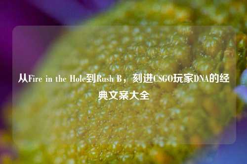 从Fire in the Hole到Rush B,刻进CSGO玩家DNA的经典文案大全