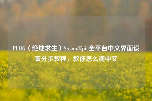 PUBG（绝地求生）Steam/Epic全平台中文界面设置分步教程，教你怎么调中文