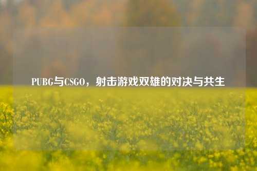 PUBG与CSGO,射击游戏双雄的对决与共生