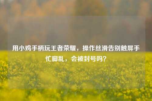 用小鸡手柄玩王者荣耀,操作丝滑告别触屏手忙脚乱,会被封号吗?