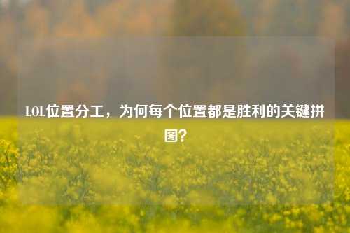 LOL位置分工,为何每个位置都是胜利的关键拼图?