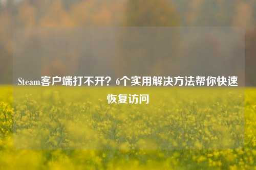 Steam客户端打不开?6个实用解决 *** 帮你快速恢复访问
