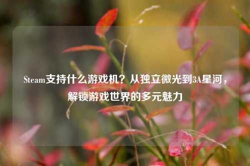 Steam支持什么游戏机?从独立微光到3A星河,解锁游戏世界的多元魅力