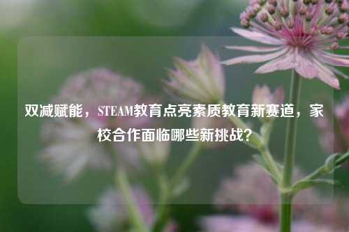 双减赋能,STEAM教育点亮素质教育新赛道,家校合作面临哪些新挑战?