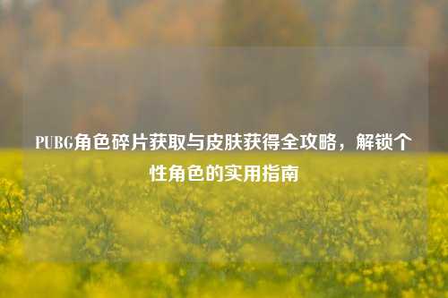 PUBG角色碎片获取与皮肤获得全攻略,解锁个性角色的实用指南