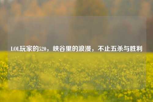 LOL玩家的520,峡谷里的浪漫,不止五杀与胜利