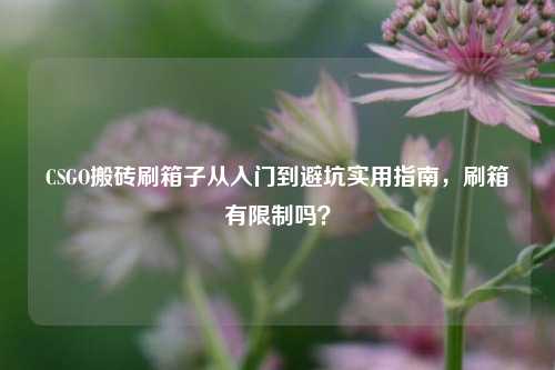 CSGO搬砖刷箱子从入门到避坑实用指南，刷箱有限制吗？