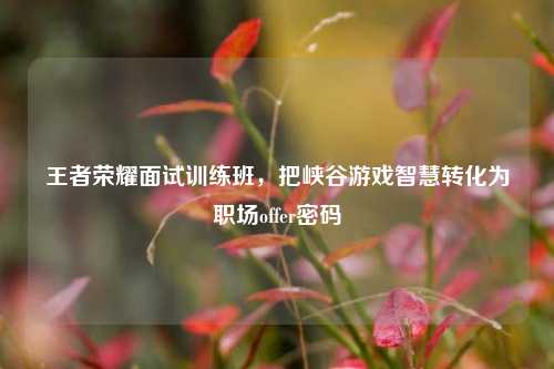 王者荣耀面试训练班,把峡谷游戏智慧转化为职场offer密码