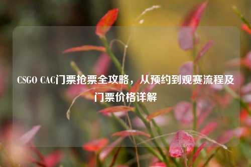 CSGO CAC门票抢票全攻略,从预约到观赛流程及门票价格详解
