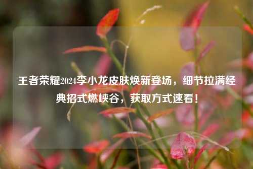 王者荣耀2024李小龙皮肤焕新登场，细节拉满经典招式燃峡谷，获取方式速看！