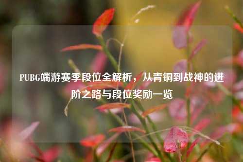 PUBG端游赛季段位全解析,从青铜到战神的进阶之路与段位奖励一览