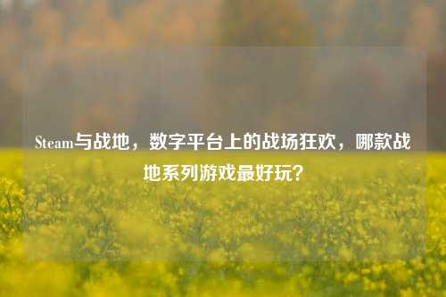 Steam与战地,数字平台上的战场狂欢,哪款战地系列游戏更好玩?