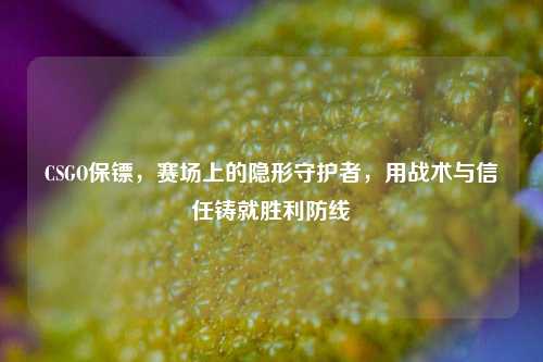 CSGO保镖,赛场上的隐形守护者,用战术与信任铸就胜利防线
