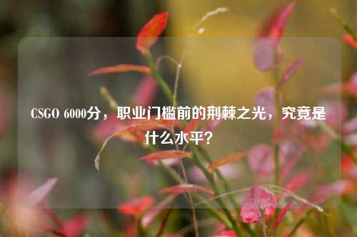 CSGO 6000分,职业门槛前的荆棘之光,究竟是什么水平?