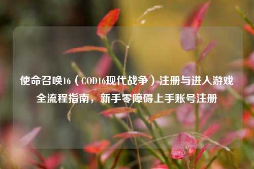 使命召唤16（COD16现代战争）注册与进入游戏全流程指南，新手零障碍上手账号注册