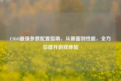CSGO最强参数配置指南,从画面到性能,全方位提升游戏体验