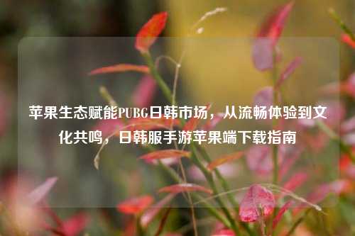 苹果生态赋能PUBG日韩市场,从流畅体验到文化共鸣,日韩服手游苹果端下载指南