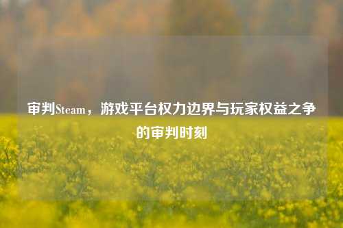 审判Steam,游戏平台权力边界与玩家权益之争的审判时刻