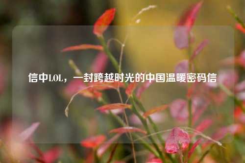 信中LOL,一封跨越时光的中国温暖密码信