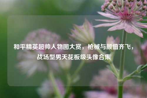 和平精英超帅人物图大赏，枪械与颜值齐飞，战场型男天花板级头像合集