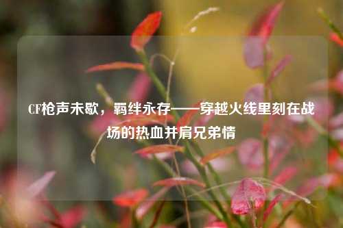 CF枪声未歇，羁绊永存——穿越火线里刻在战场的热血并肩兄弟情