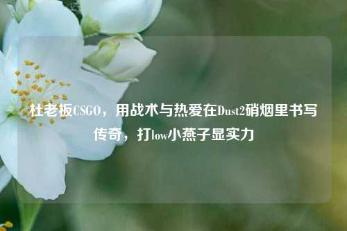 杜老板CSGO,用战术与热爱在Dust2硝烟里书写传奇,打low小燕子显实力