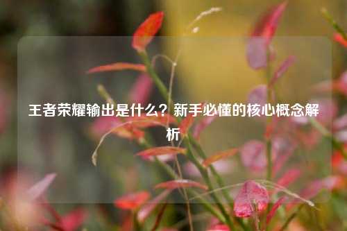 王者荣耀输出是什么?新手必懂的核心概念解析