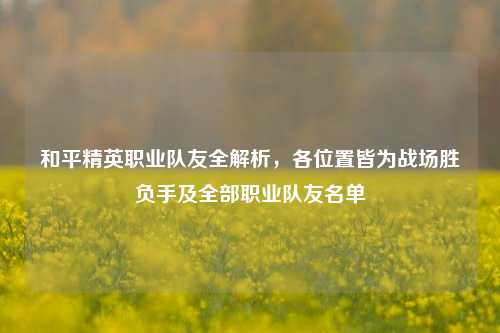 和平精英职业队友全解析，各位置皆为战场胜负手及全部职业队友名单