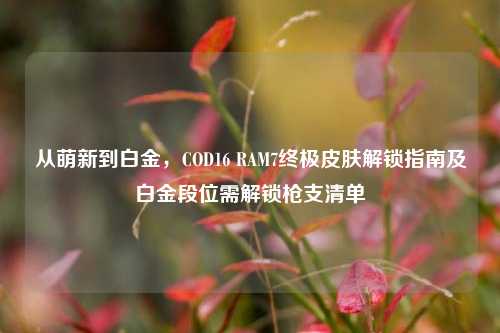 从萌新到白金,COD16 RAM7终极皮肤解锁指南及白金段位需解锁枪支清单