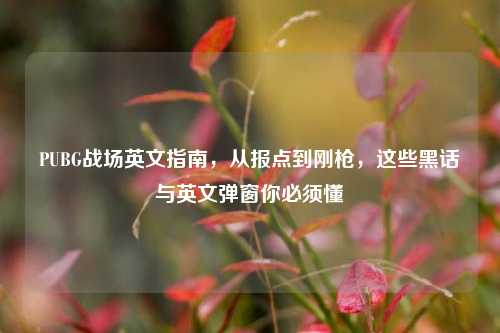 PUBG战场英文指南，从报点到刚枪，这些黑话与英文弹窗你必须懂